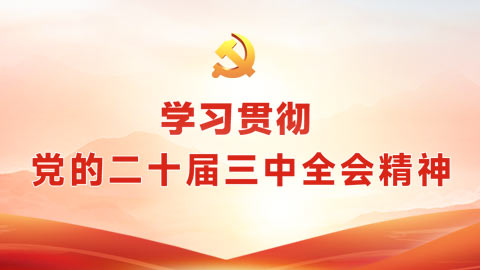 學習貫徹黨的二十屆三中全會精神